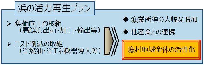 hama-p_06